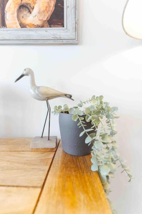 Watersedge Retreat, Views, Sunsets, Dogs Welcome Sandside  Bagian luar foto